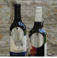 Personalized Set of 2 Monogram Wine Bottle Medallions - Bridesmaid Gifts